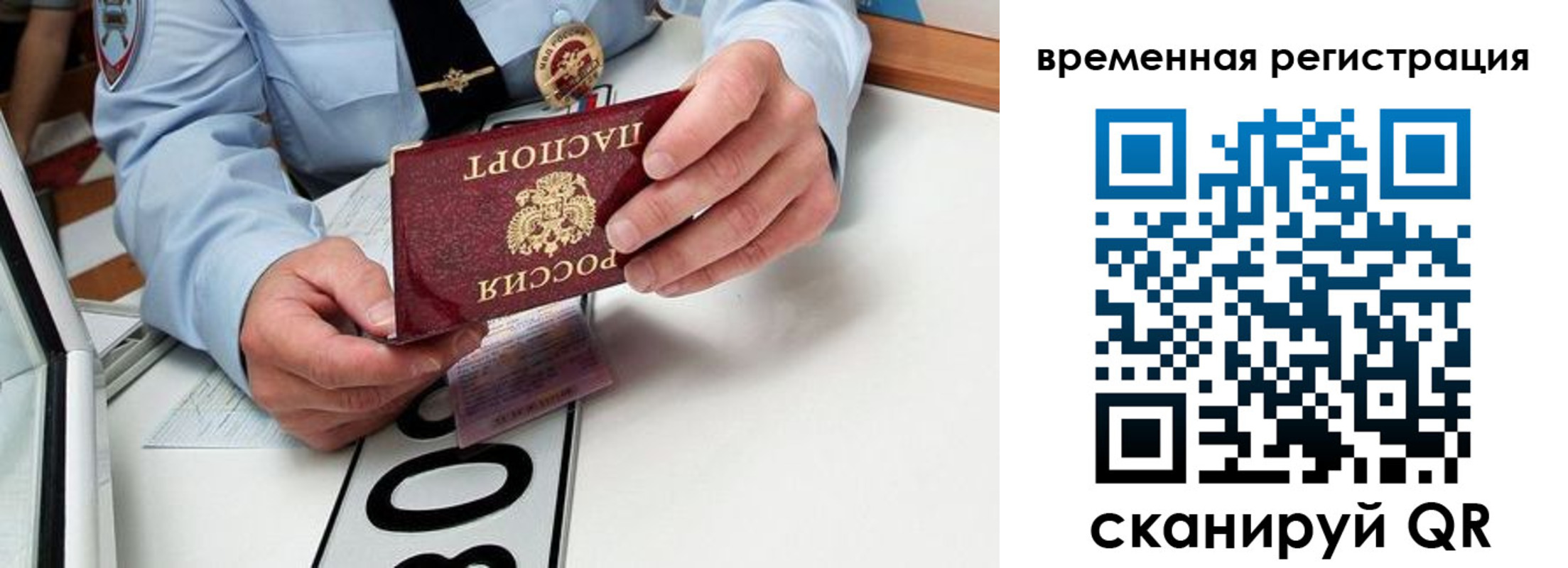 прописка гарантия в Крымске